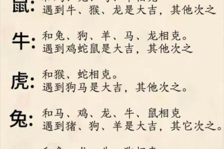 想了解曲高和寡”所代表的生肖含义及其背后的文化故事解析