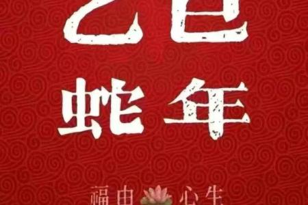 1977年属蛇的人2025年的运势及运程