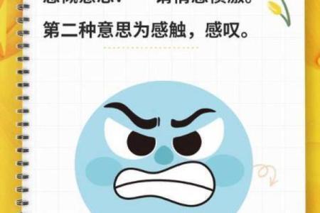 想知道五内如焚对应的生肖是什么，有没有详细的解释？