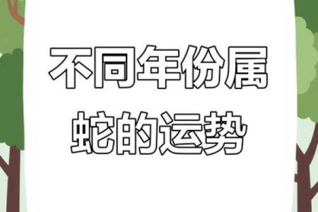 2013年属蛇男孩一生命运