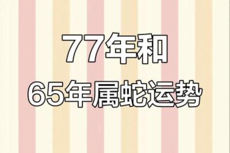 77年属蛇2025年运势如何