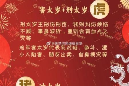 2025蛇年哪个月份出生的人最好