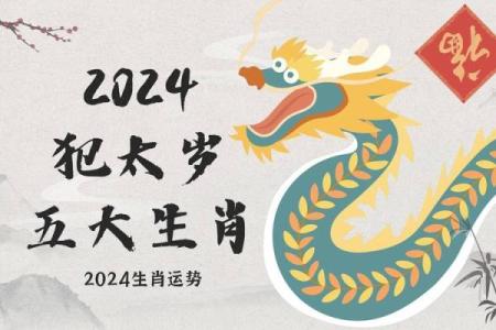属狗人士2013年运程完整版分析，包含事业财运健康感情破解之道