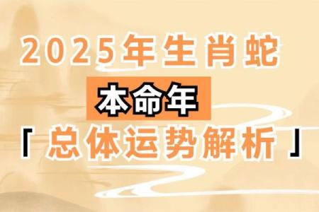 2025年属蛇人运程
