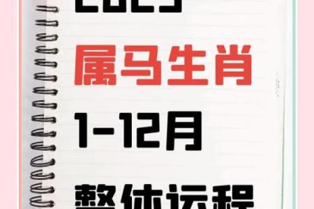 属牛人蛇年运势2025