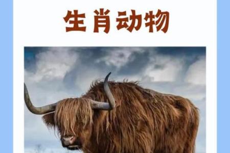 请问瓮声瓮气”着个成语具体是用来形容哪个生肖动物的性格特征？