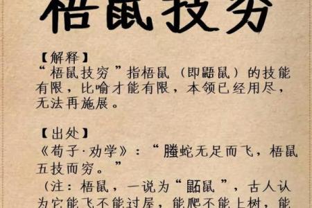 成语山穷水尽所代表的正确生肖答案是什么？