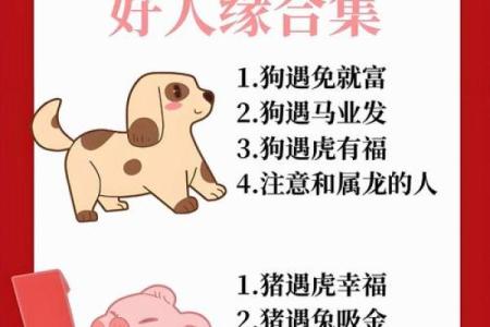 出水芙蓉打一生肖最佳答案是什么？完整解析与生肖文化内涵
