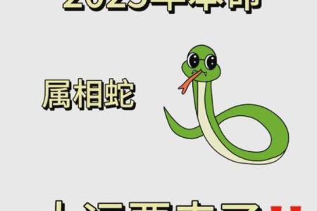 2025属蛇本命年