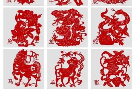 想要了解欺人之谈所对应的生肖是哪一种动物？
