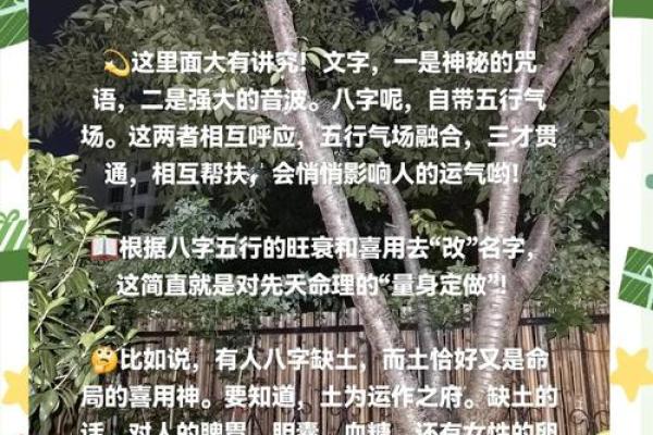2024年属虎有山有水有树林的男孩女孩名字推荐，包含生辰八字解析