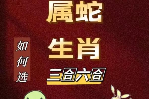 2025年谁会帮属蛇的人