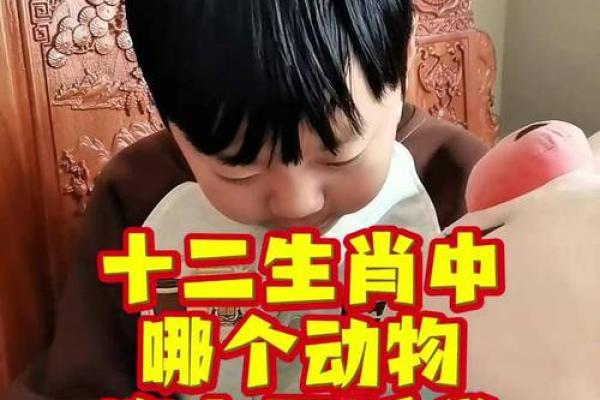 在十二生肖中，哪个动物最能代表危如累卵”着种极其危险的状态和含义？