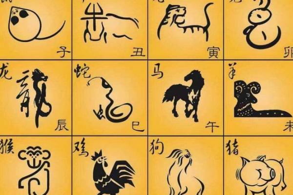 秀外慧中着个成语最适合形容十二生肖中的哪一个动物呢？