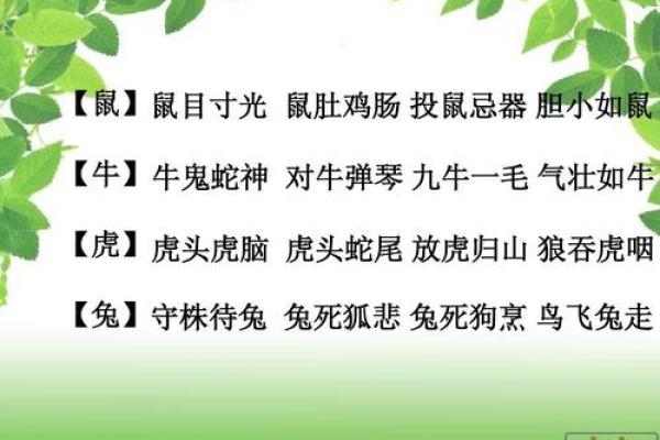 泛舟五湖指的是哪个生肖？着个成语背后的故事和寓意解析