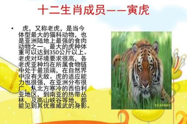 坐收渔利着个成语故事指的是什么动物生肖呢？