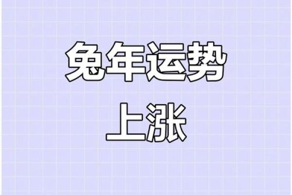 1987年属兔人2023年运势详解：事业财运健康感情全年运程完整版