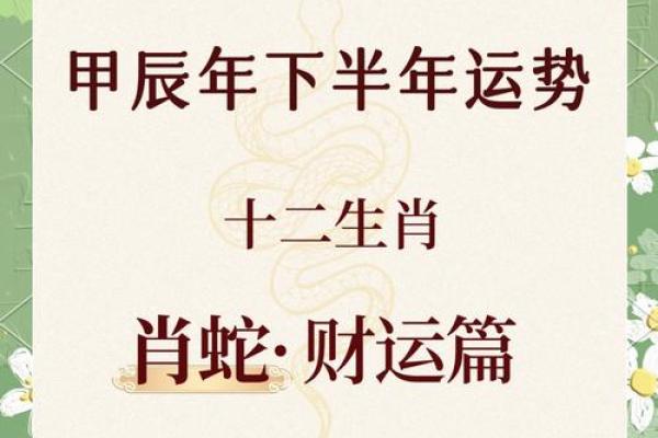 属蛇人跟谁一起财运好