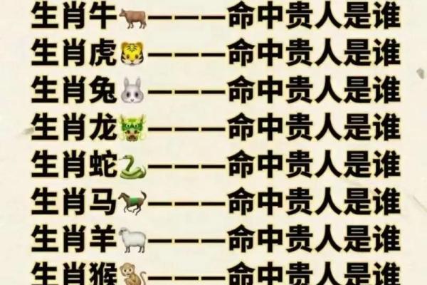2024年属蛇人需要警惕的贵人是谁？如何识别并化解潜在危机