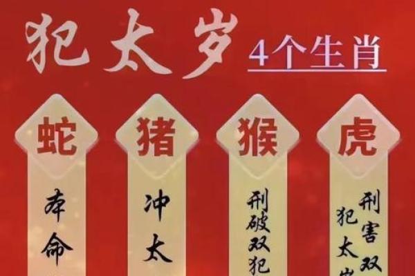 77年属蛇男在2025年的全年运势如何