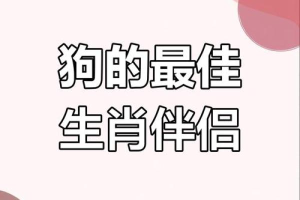 才德兼备指的是哪个生肖，有没有具体的性格分析