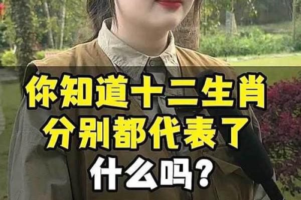 请问在十二生肖中，哪个生肖最能代表虎略龙韬所蕴含的智慧和谋略？