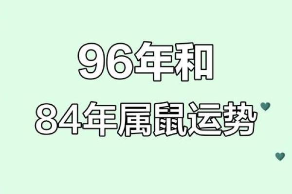 属鼠人的命运中哪些年份容易出现婚姻转折点？