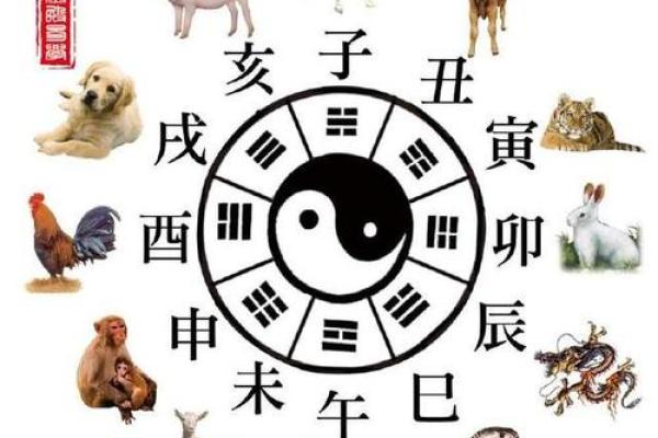 黄花闺女在十二生肖中代表什么？有什么典故或说法