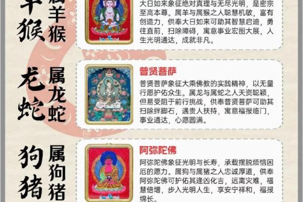 想要了解汗马功劳所对应的生肖动物及其文化背景解析