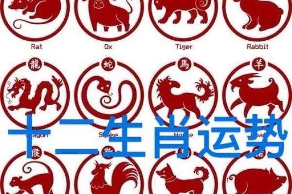 1965年属蛇人2025年运势