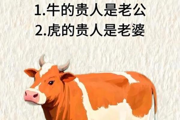 明打明敲打一生肖的谜底解析，具体是指哪一个生肖动物呢