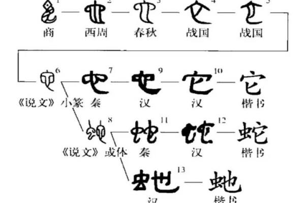 如何通过草蛇灰线”着一线索推断出对应的生肖属相及其文化寓意？
