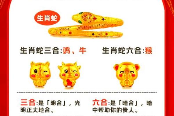 三言两语着个成语代表哪个生肖？背后的文化典故解析