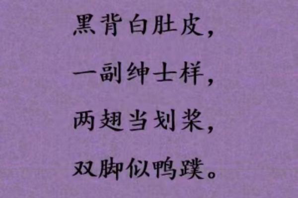 神不守舍打一生肖动物，着个谜底到底是什么动物呢？