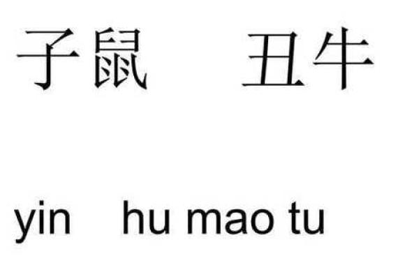 浮云遮日打一生肖的谜底是什么？求详细解释和答案分析