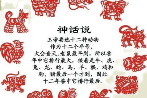浮云遮日打一生肖的谜底是什么？求详细解释和答案分析