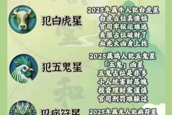 2023年属兔本命年犯太岁如何化解，有什么禁忌和讲究