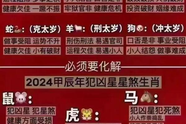 2024年属蛇人的全年运势详解