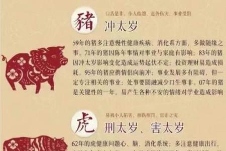 77年属蛇男在2025年的全年运势如何