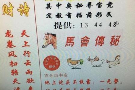 贼走关门打一生肖正确答案是什么，具体如何解释其含义？