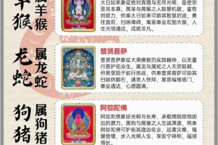 想要了解汗马功劳所对应的生肖动物及其文化背景解析