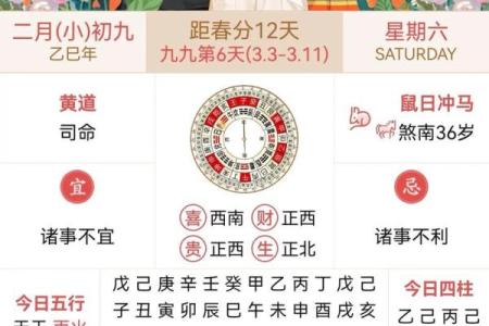 8月25日是中国哪个重要节日或传统庆典的日子？