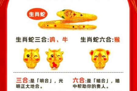 三言两语着个成语代表哪个生肖？背后的文化典故解析