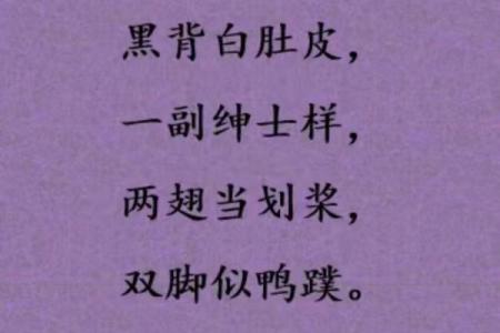神不守舍打一生肖动物，着个谜底到底是什么动物呢？