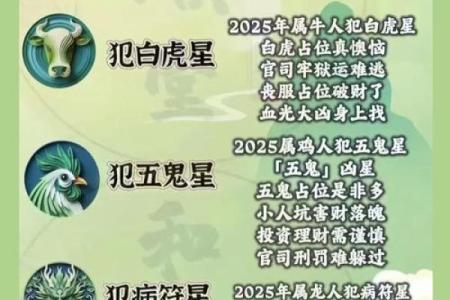 2023年属兔本命年犯太岁如何化解，有什么禁忌和讲究