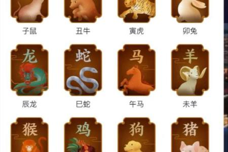 临阵磨枪着个成语最适合用来形容哪个生肖的性格特点？