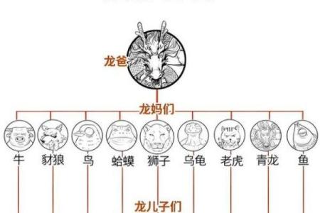 龙肝凤髓着个成语在十二生肖中具体指的是哪一个动物呢？