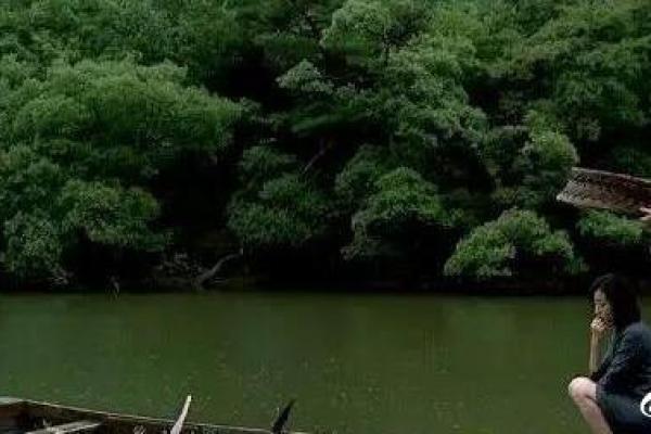 光阴似箭所指的生肖究竟是哪一个？详细解读传统文化中的时间隐喻