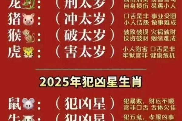 1987年出生属兔2023年本命年如何化解太岁及得把眼睛擦亮了全解析