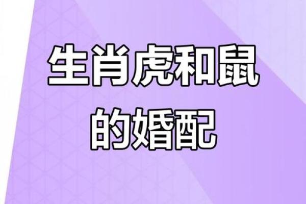 星光四射代表什么生肖？最全生肖寓意解析与答案揭秘